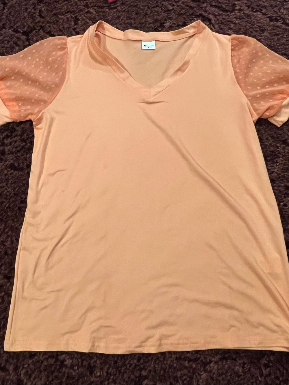 Light Peach V-Neck Women's Top with Sheer Dot Sleeves